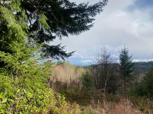 Hemlock Avenue Scappoose, OR 97056 - Photo 4 of 15 a view of a lake in a forest