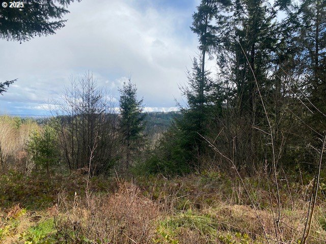 Hemlock Avenue Scappoose, OR 97056 - Photo 5 of 15 a view of a yard