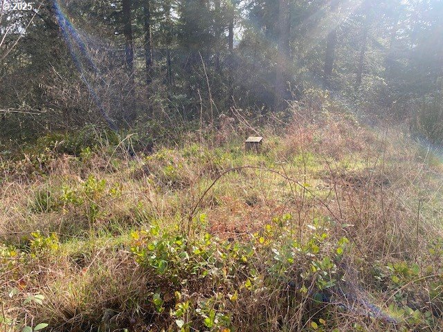 Hemlock Avenue Scappoose, OR 97056 - Photo 6 of 15 a view of a yard