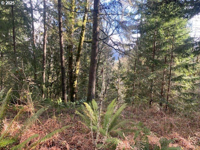 Hemlock Avenue Scappoose, OR 97056 - Photo 8 of 15