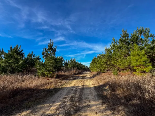 a view of a yard with wooden fence