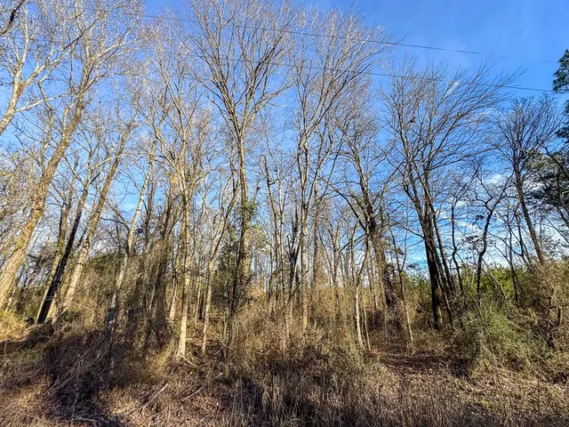 a view of backyard of house