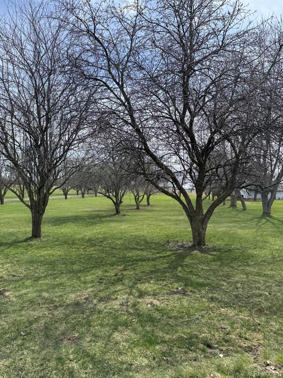 7188 Reid Road Swartz Creek, MI 48473 - Photo 41 of 43 Gallery Image 41