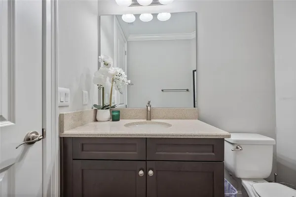 a view of a park with slide