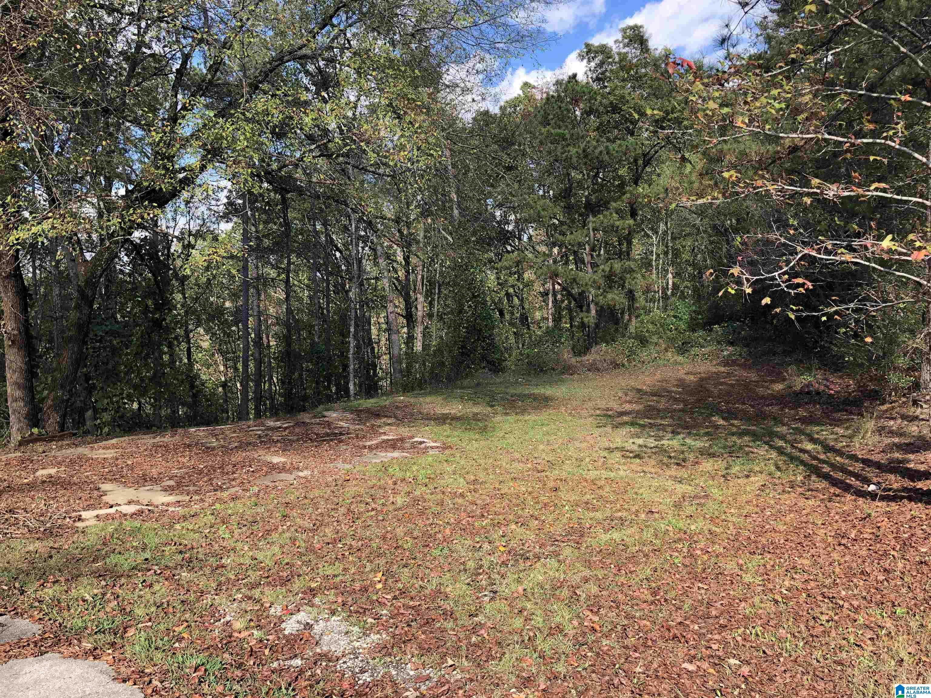 3209 Smith Sims Road Trussville, AL 35173 - Photo 34 of 39