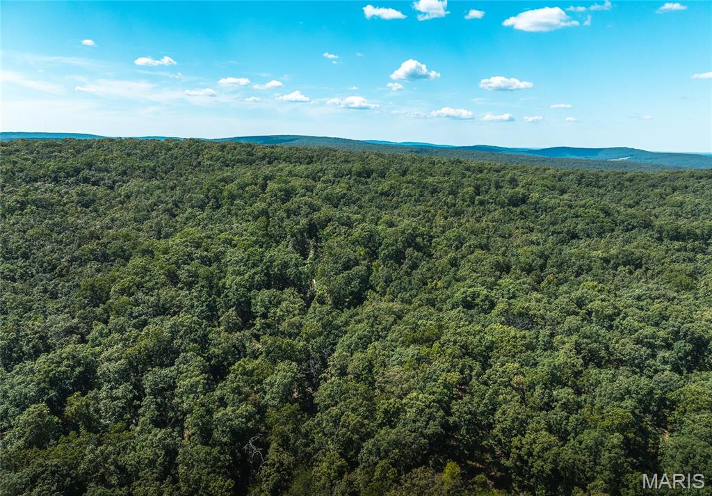 1 Buck Mountain Road Ironton, MO 63650 - Photo 1 of 12
