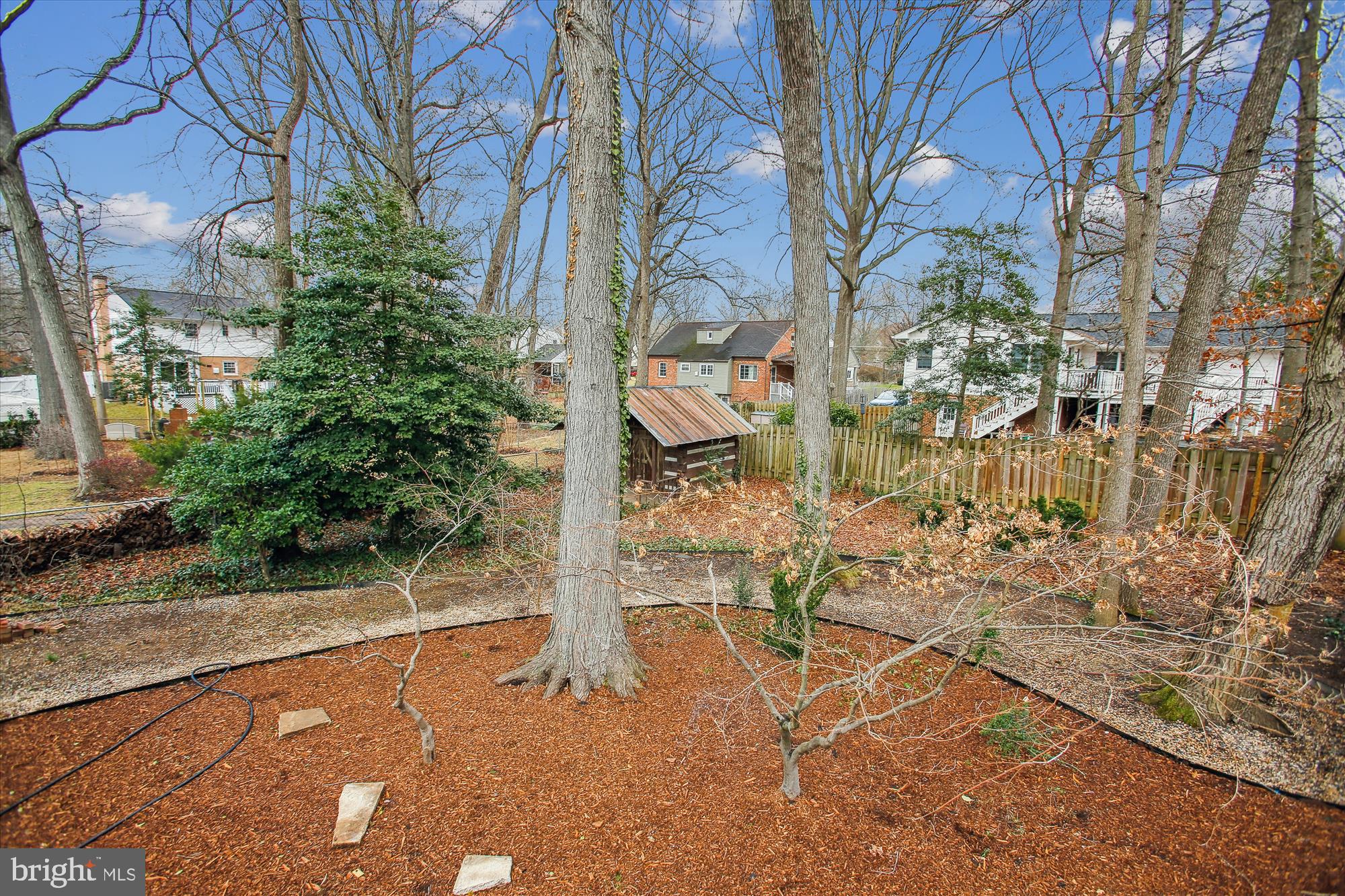 8617 Bradgate Road Alexandria, VA 22308 - Photo 22 of 54 Back Yard