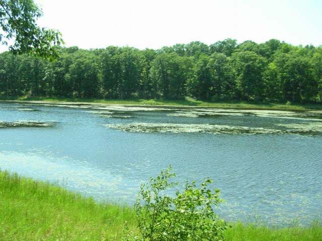 Off Round Lake Road, Unit WESKE LN Rhinelander, WI 54501 - Photo 1 of 15 Gallery Image 1