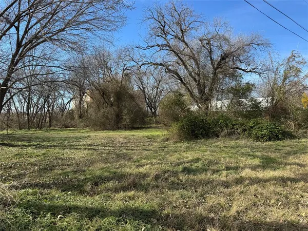 a view of a field with large trees