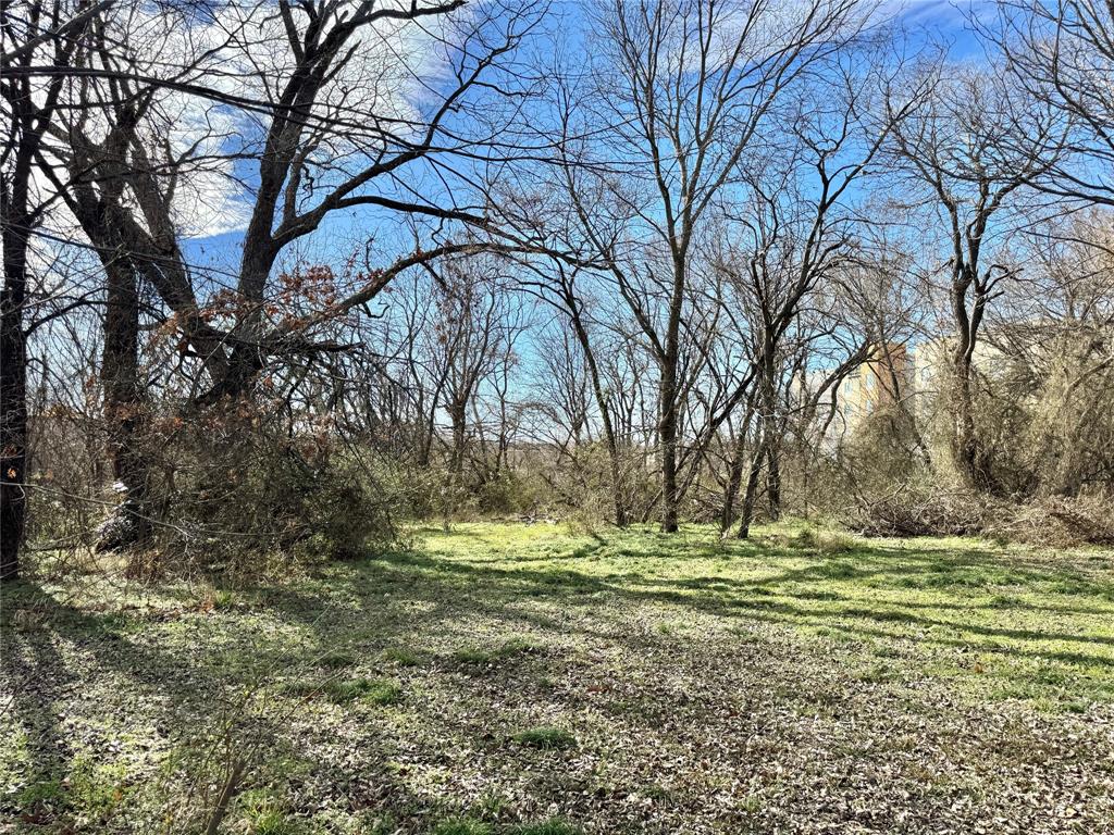 1107 Field Street Gainesville, TX 76240 - Photo 4 of 10 a view of outdoor space with trees