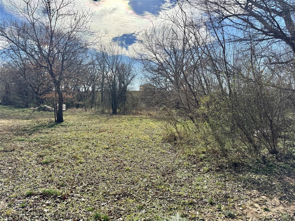 1107 Field Street Gainesville, TX 76240 - Photo 5 of 10 a view of a yard with a tree