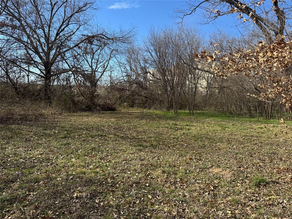 1107 Field Street Gainesville, TX 76240 - Photo 7 of 10 a view of a yard with a tree