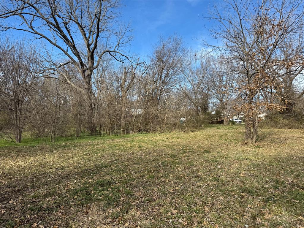 1107 Field Street Gainesville, TX 76240 - Photo 10 of 10 a view of a field with trees