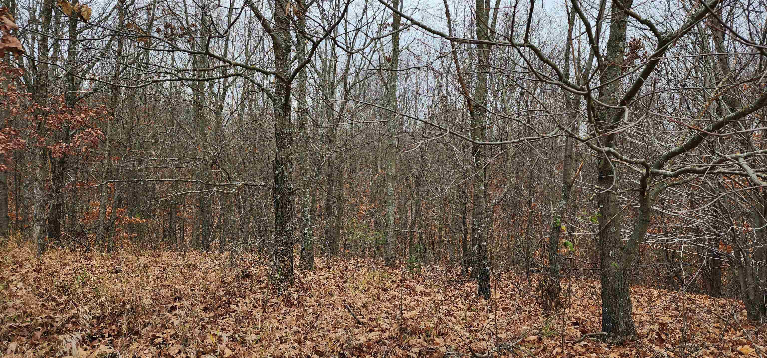 8.59 West Phelps Road Manton, MI 49663 - Photo 4 of 26