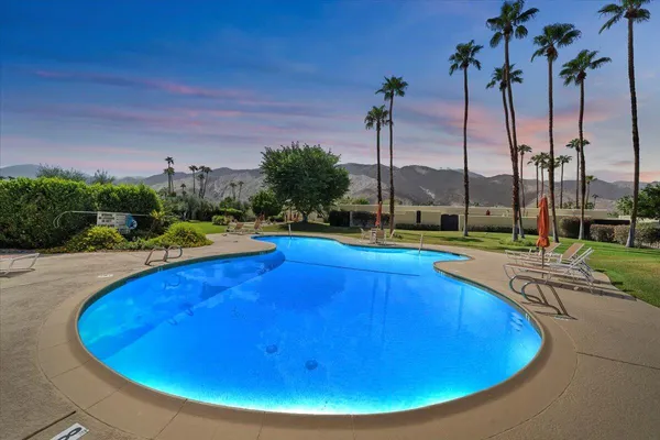 a view of a swimming pool with lawn chairs and palm tree