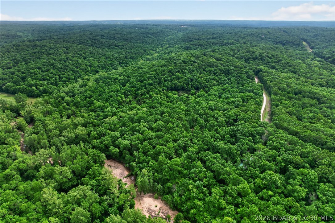 16376 Twisted Tree Road Barnett, MO 65011 - Photo 60 of 65