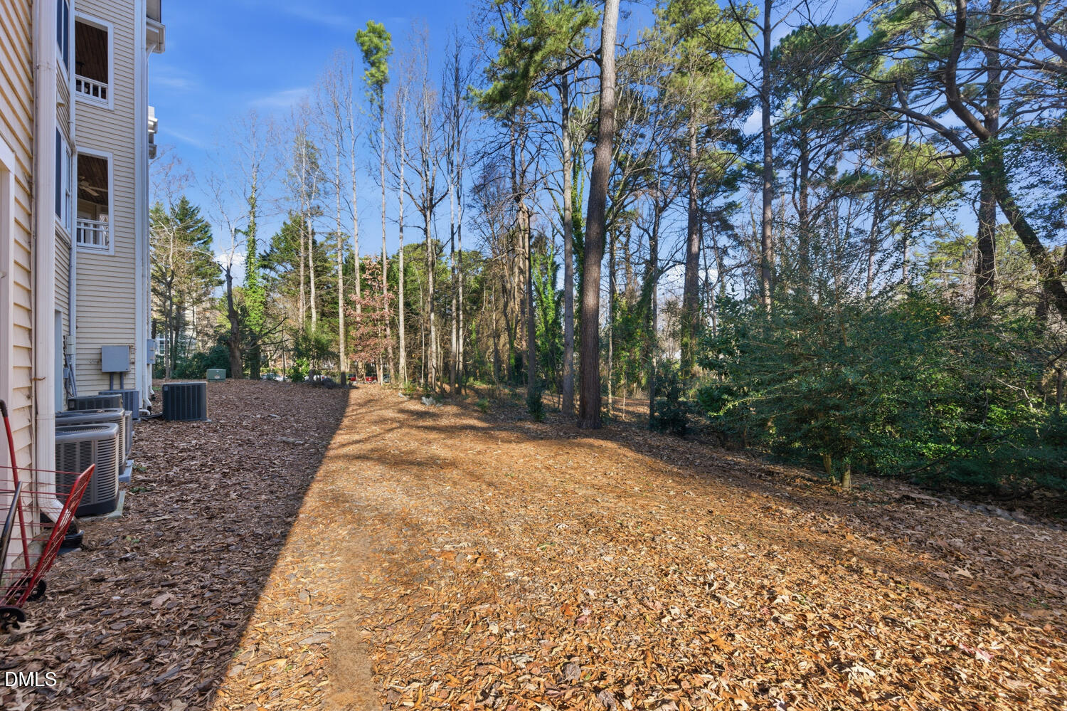 116 Northbrook Drive, Unit 204 Raleigh, NC 27609 - Photo 78 of 94 a view of a yard with plants and trees