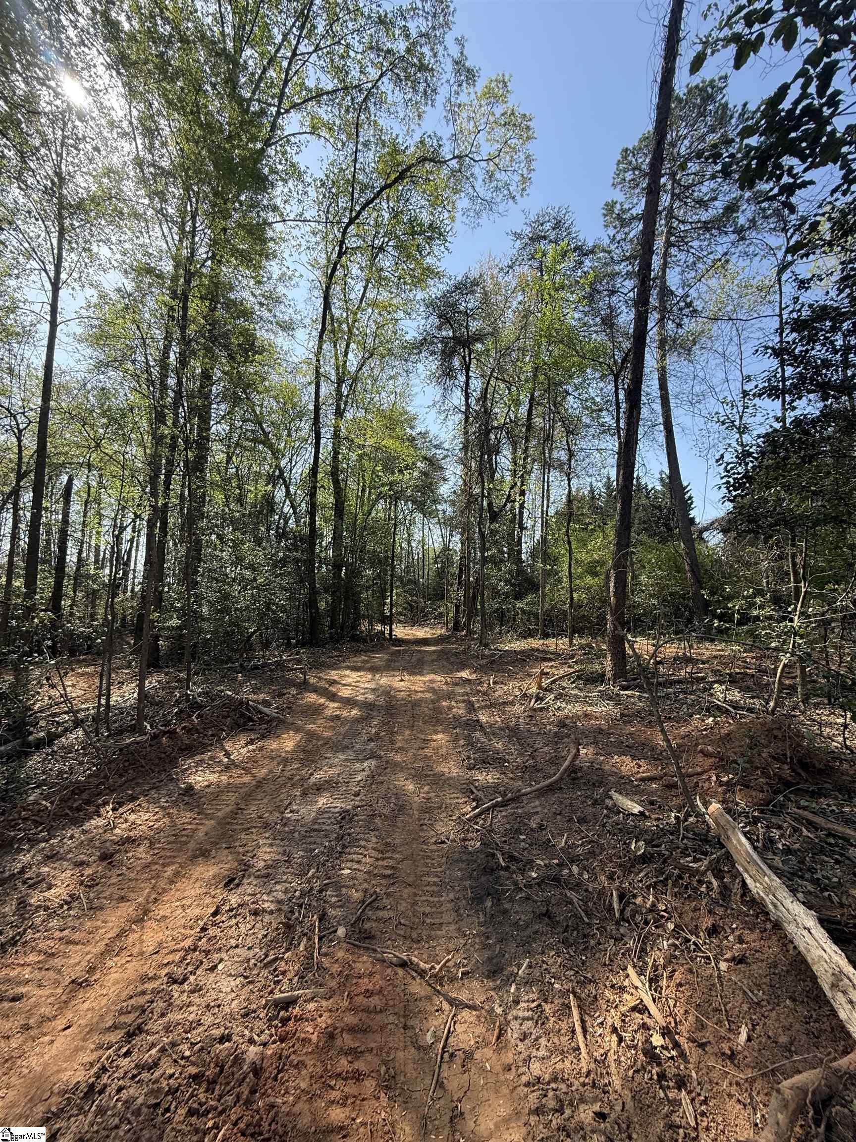 0 Thompson Road Greer, SC 29651 - Photo 23 of 31