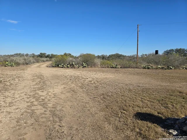 a view of a dry yard with trees