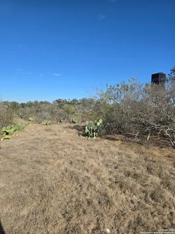a view of a city with lush green forest