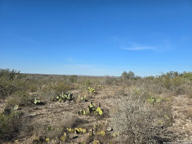 a view of a city with lush green forest