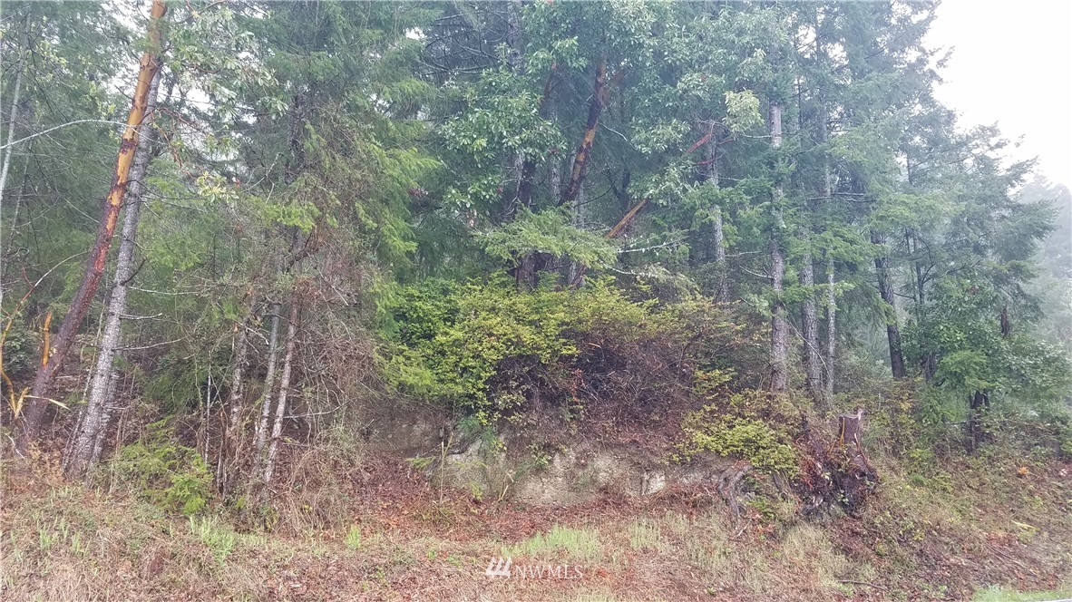 7777 North Shore Road Belfair, WA 98528 - Photo 2 of 2