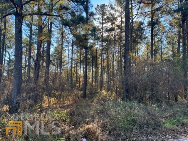 0 Hwy 5 (4.5 Acres) Southwest Roopville, GA 30170 - Photo 1 of 1 Gallery Image 1
