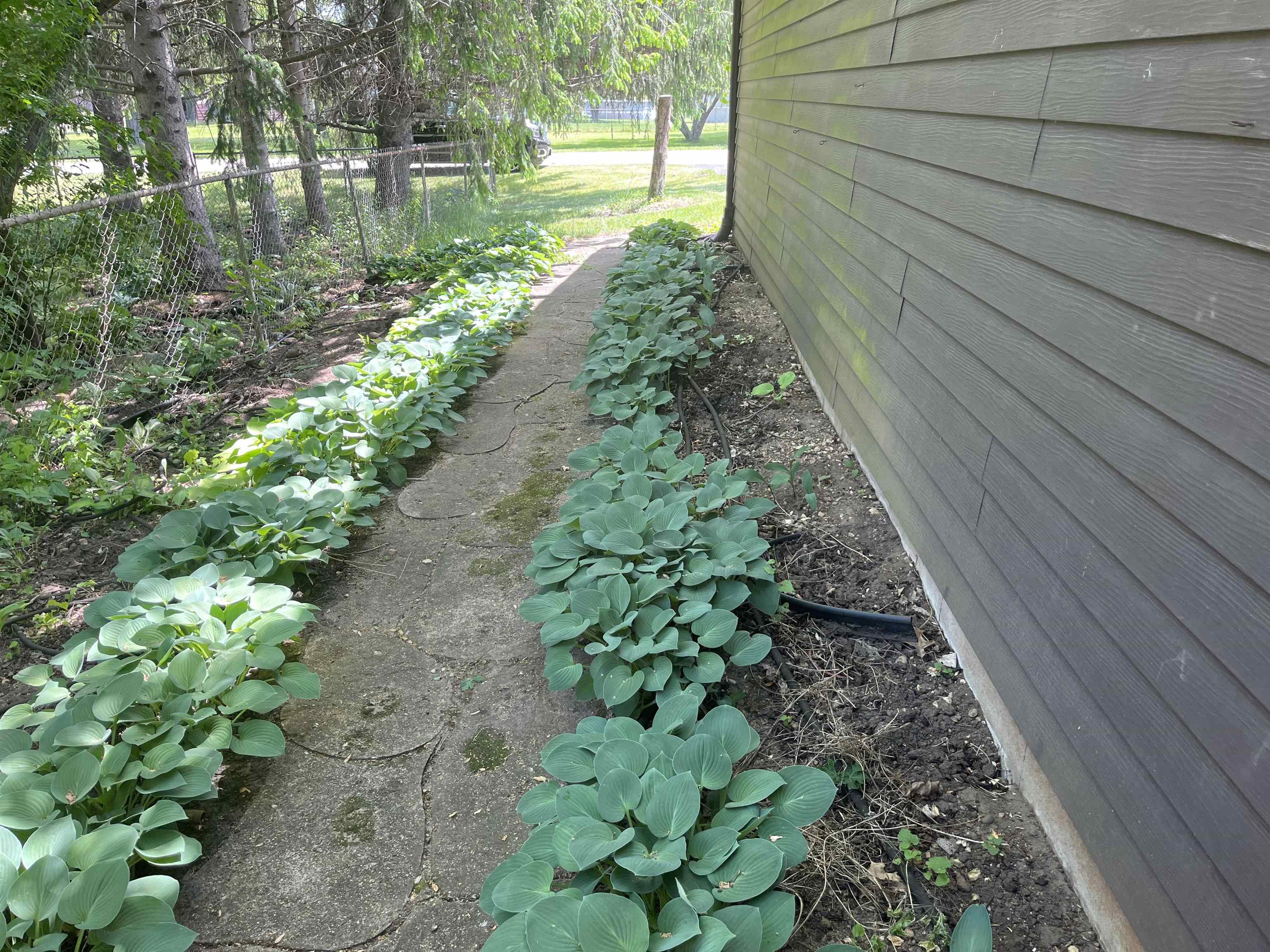 6816 Stardust Trail Roscoe, IL 61073 - Photo 14 of 21 a view of a pathway with a yard