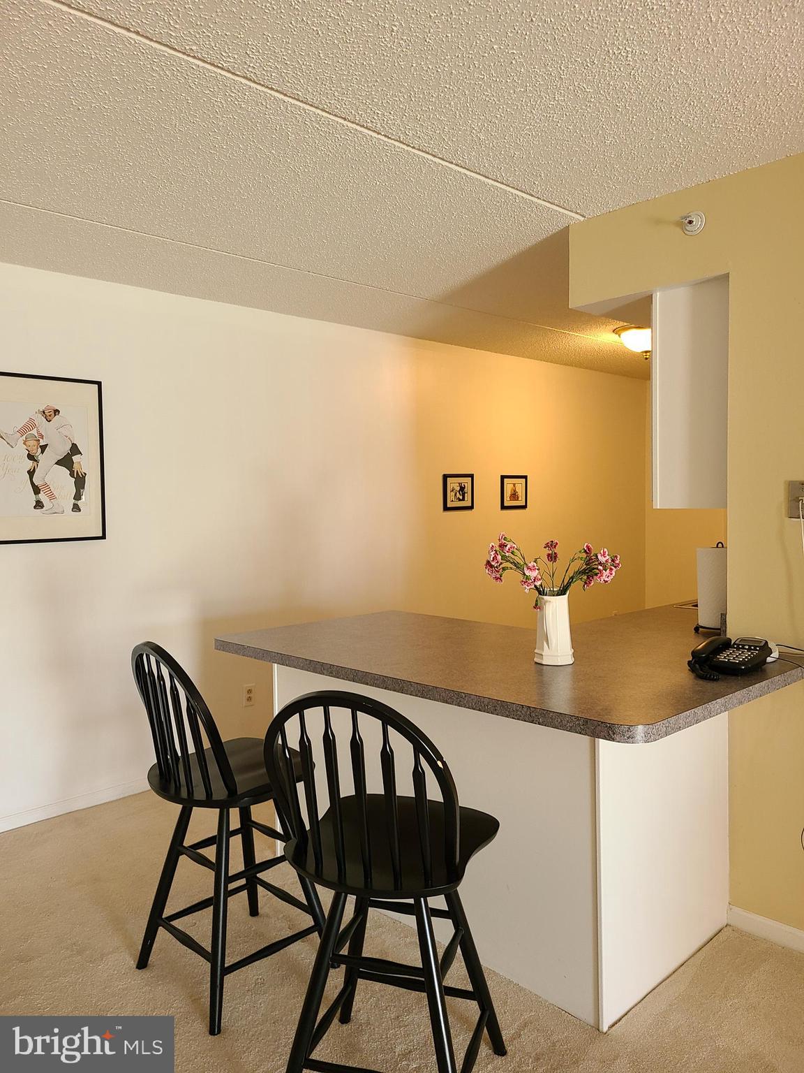 130 Brandon Road Norristown, PA 19403 - Photo 7 of 31 Seating Peninsula