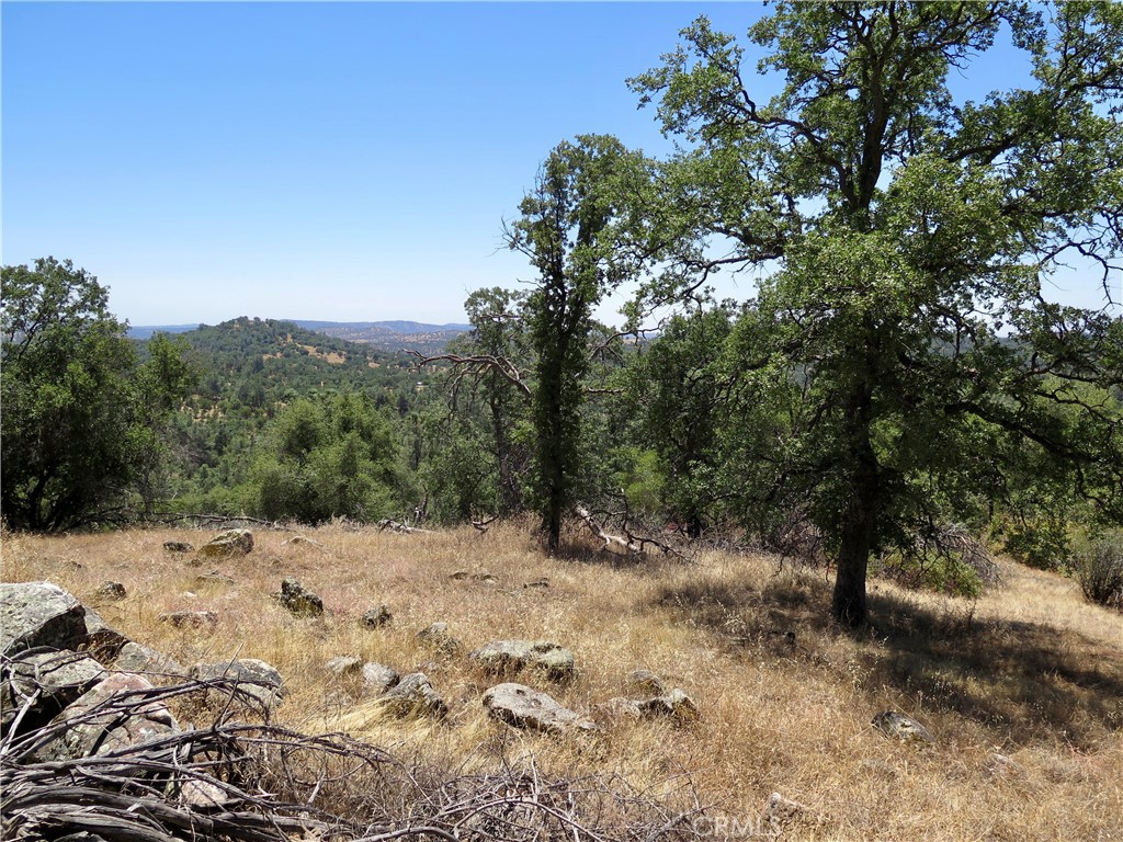 0 Ramblin Road Mariposa, CA 95338 - Photo 8 of 13