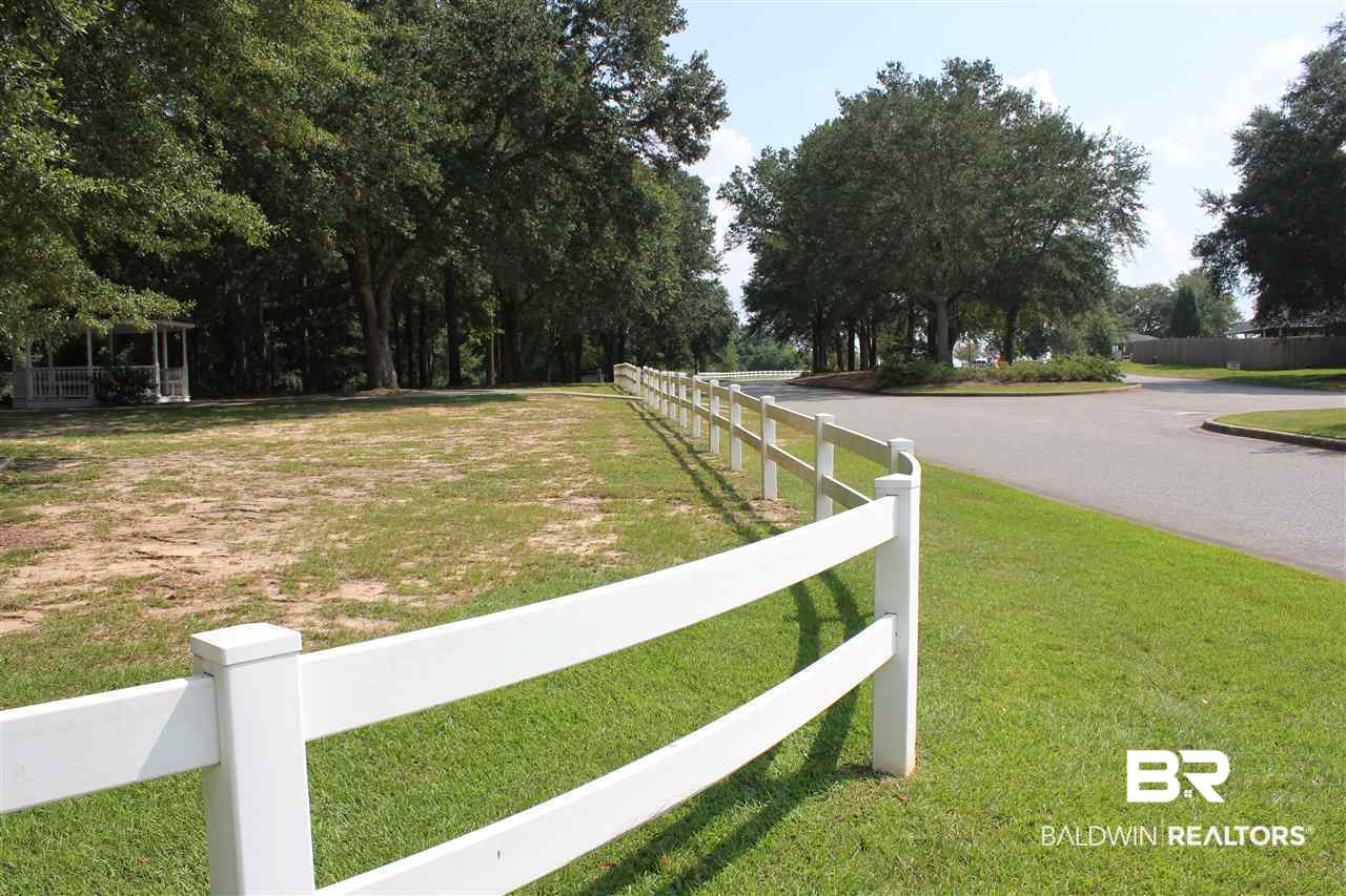 25407 Raynagua Boulevard Loxley, AL 36551 - Photo 6 of 20 Street View 2