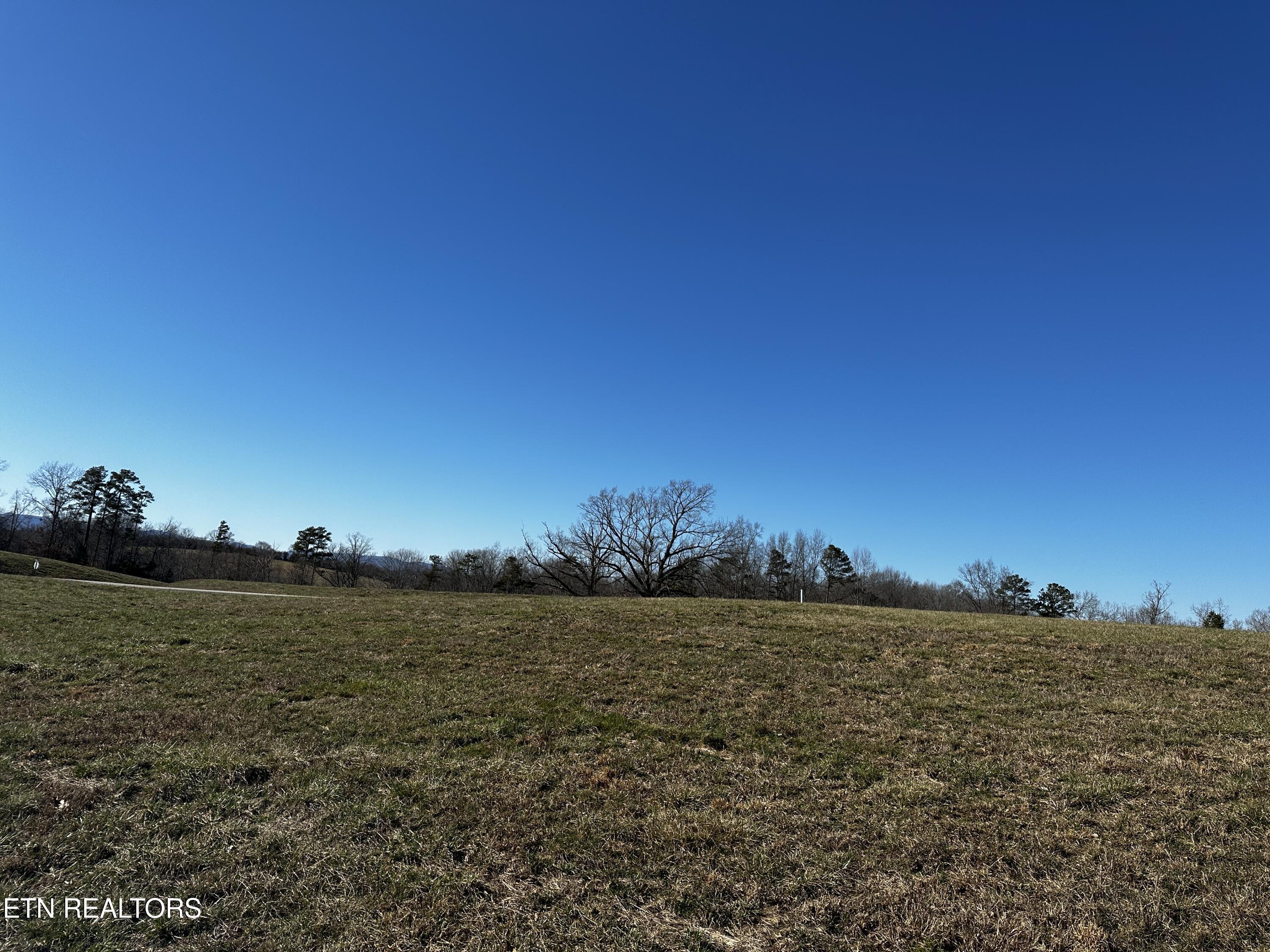 535 Prestige Ridge La Follette, TN 37766 - Photo 20 of 31 IMG_2108