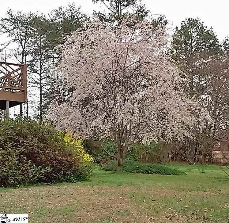 601 Tanyard Road Greenville, SC 29609 - Photo 10 of 32