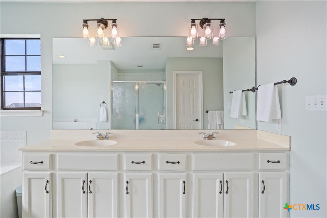 8600 Five Wells Road Rogers, TX 76569 - Photo 20 of 47 a bathroom with a sink double vanity and a mirror