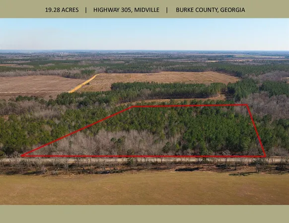 $110,000 | 19.3-acres 19.3-acres Ga-305, Midville, GA 30441