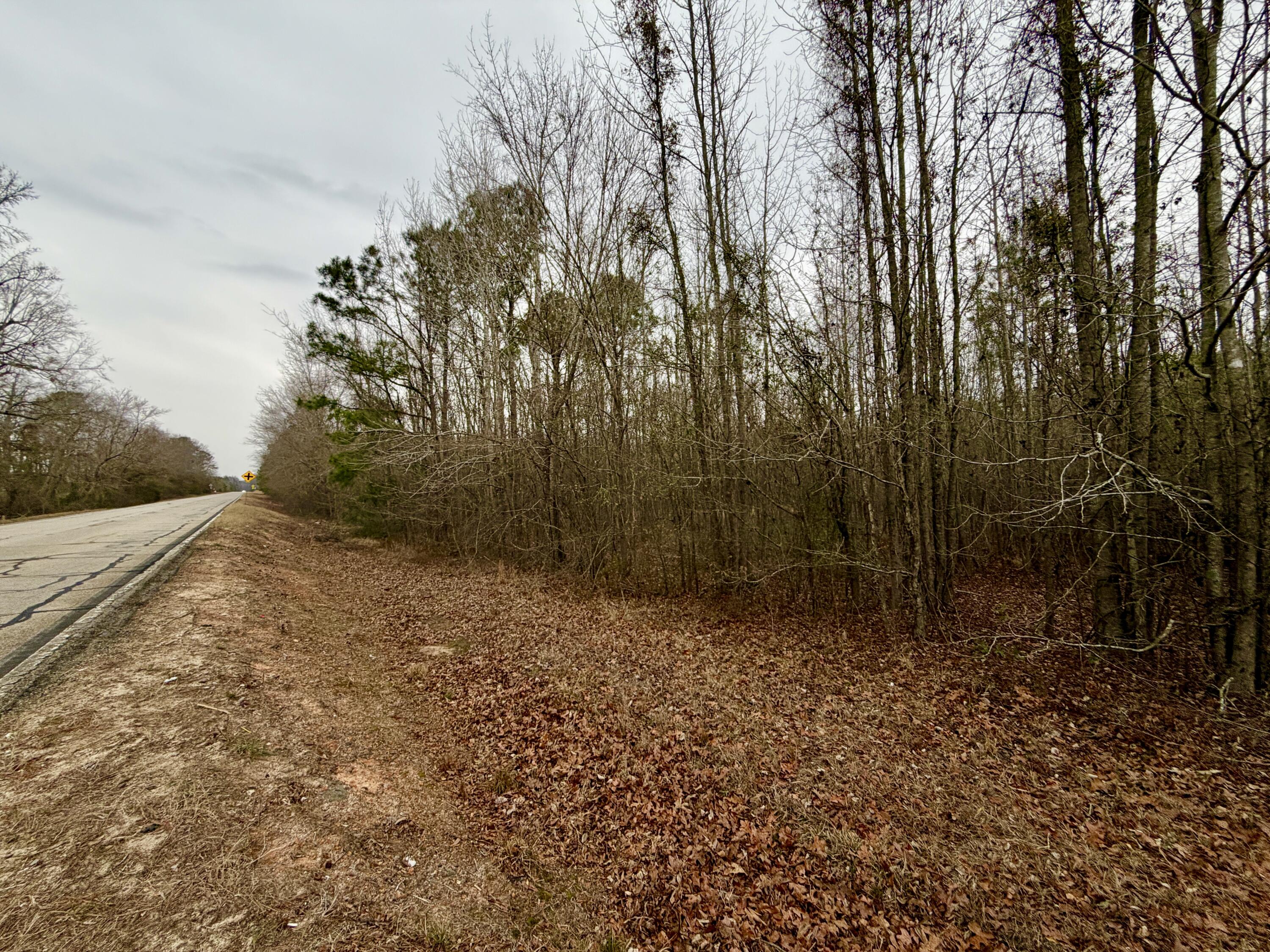 0 Ga-305 Midville, GA 30441 - Photo 13 of 14 IMG_7163