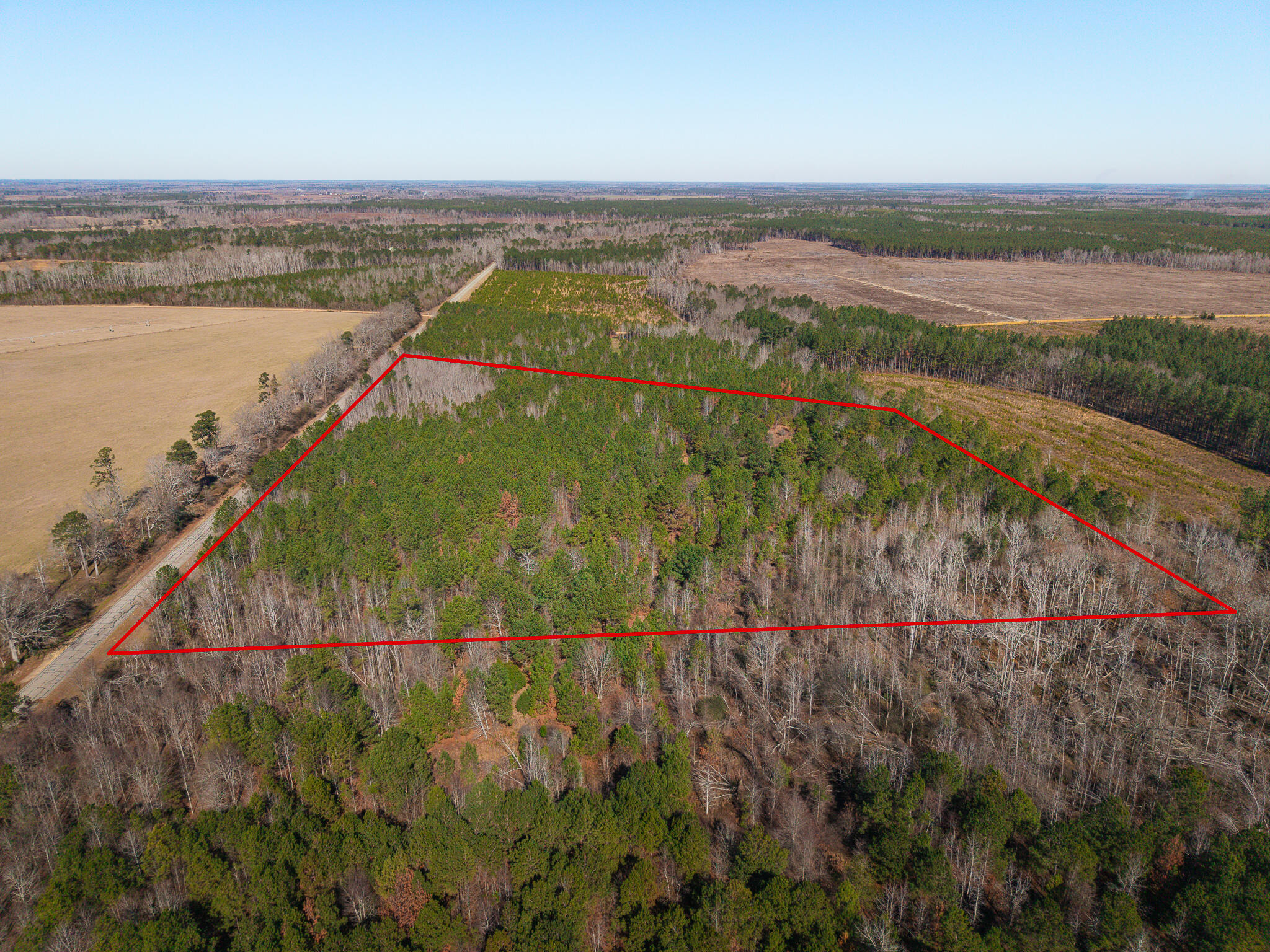 0 Ga-305 Midville, GA 30441 - Photo 2 of 14 untitled-98