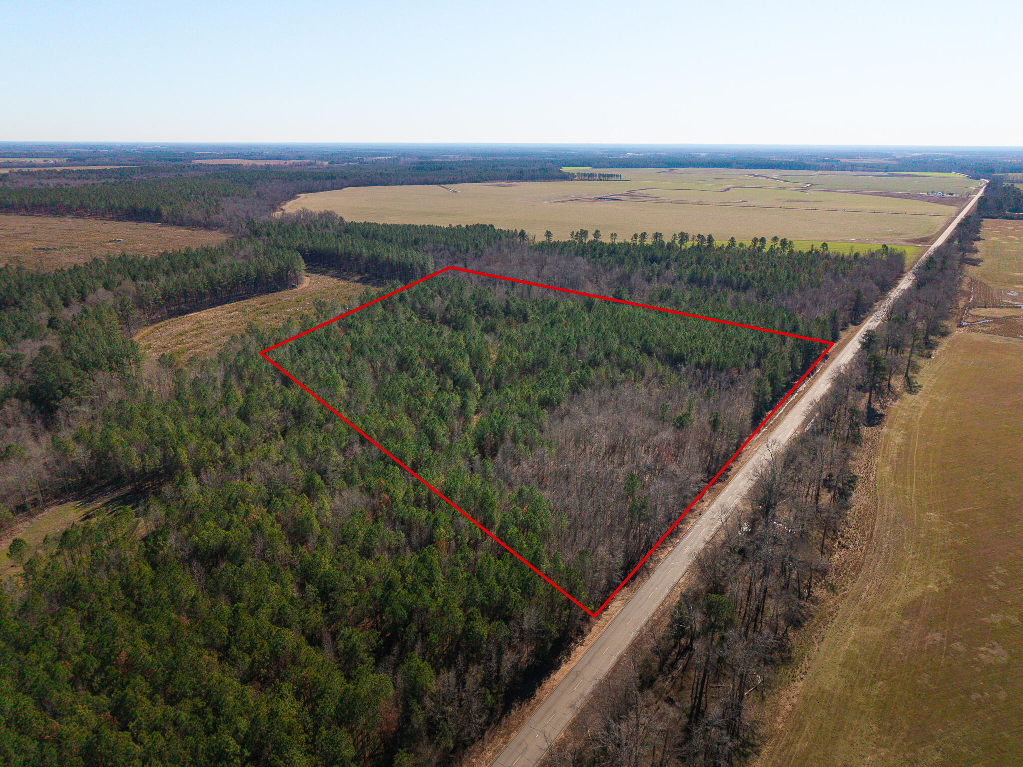0 Ga-305 Midville, GA 30441 - Photo 4 of 14 untitled-94