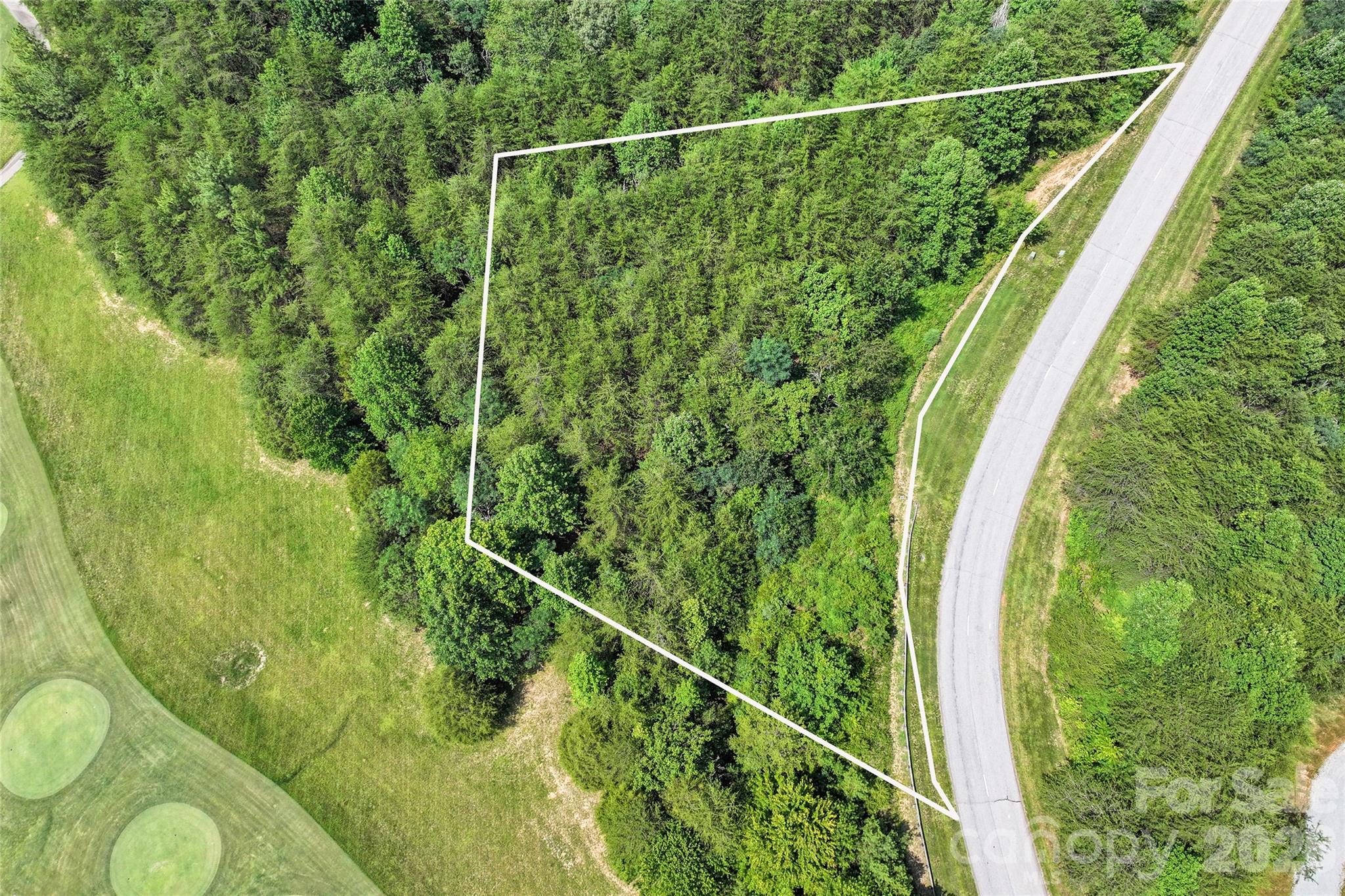 1361 Deep Gap Farm Road East Mill Spring, NC 28756 - Photo 2 of 23