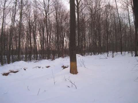 14312 Harris Road Millington, MI 48746 - Photo 3 of 8 20394173-2.JPG