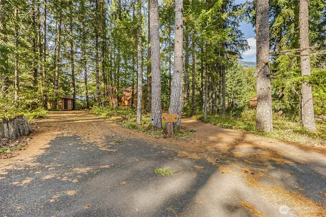$790,000 | 171 Timberline Drive, Packwood, WA 98361