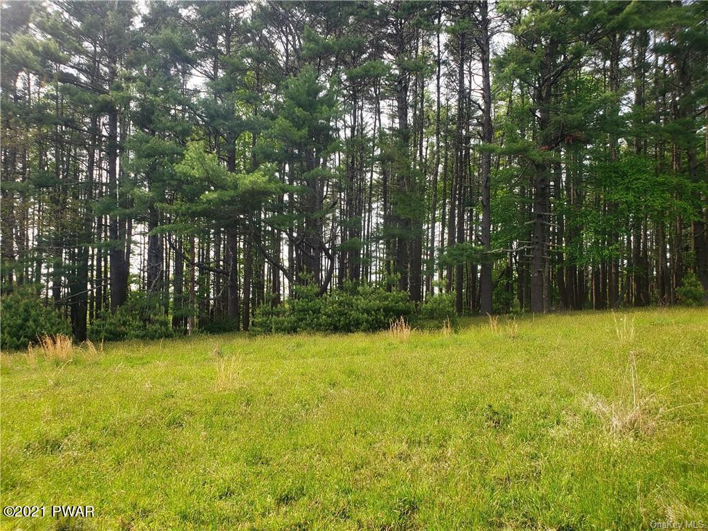 Mud Pond Road Highland Lake, NY 12743 - Photo 7 of 13
