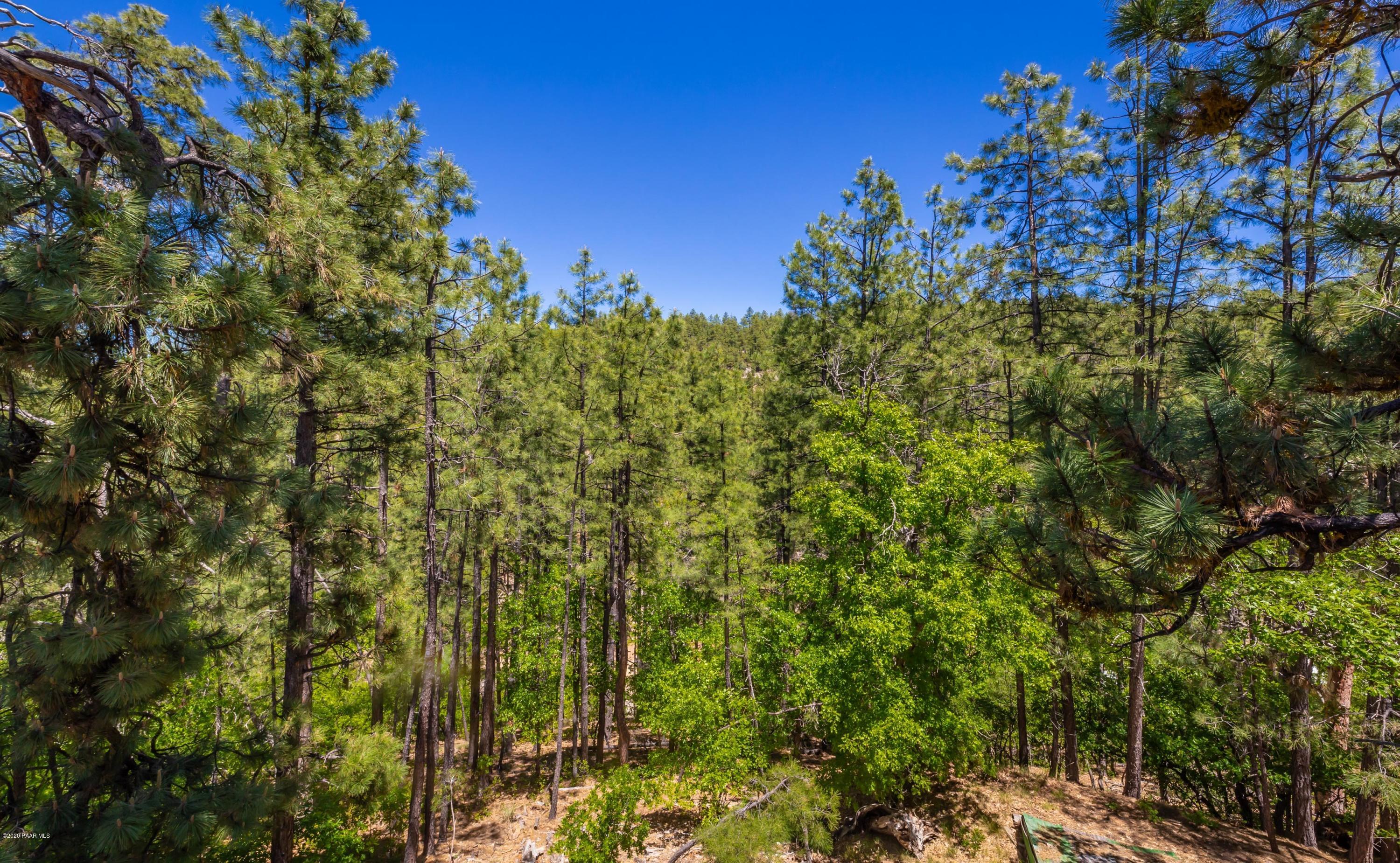 4949 South View Road Prescott, AZ 86303 - Photo 23 of 28 023_View