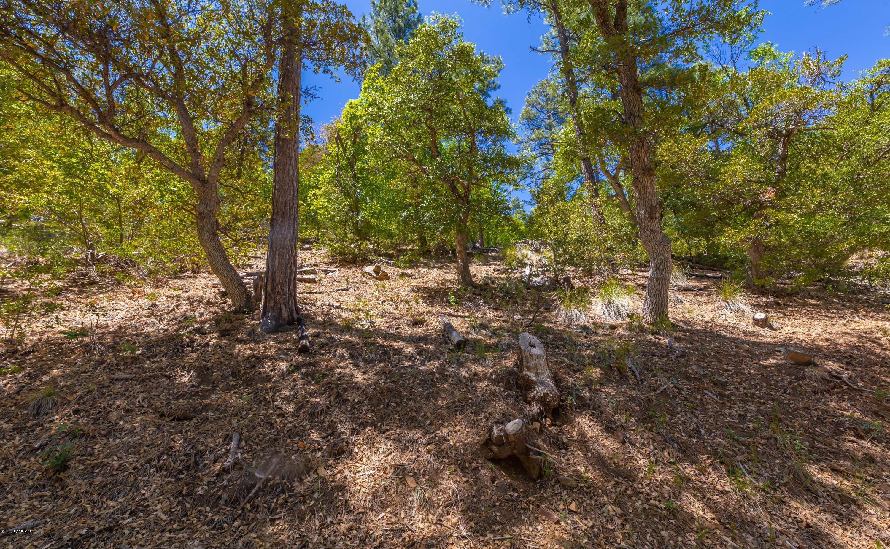 4949 South View Road Prescott, AZ 86303 - Photo 27 of 28 027_View