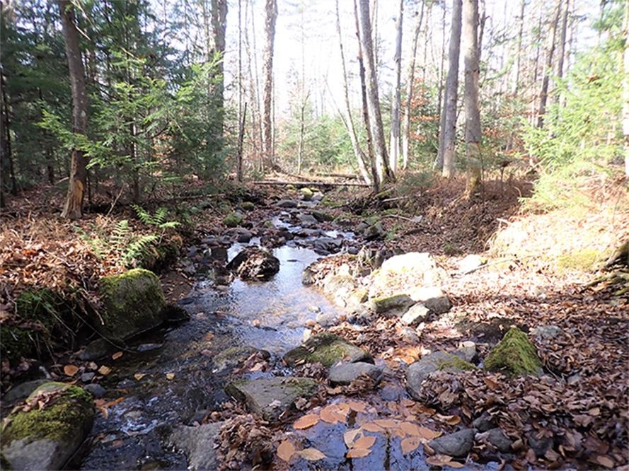 0 Eastham Road Shrewsbury, VT 05738 - Photo 11 of 31
