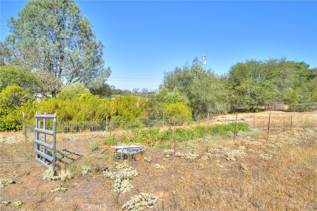 263 Mission Olive Road Oroville, CA 95966 - Photo 38 of 61 Gallery Image 38