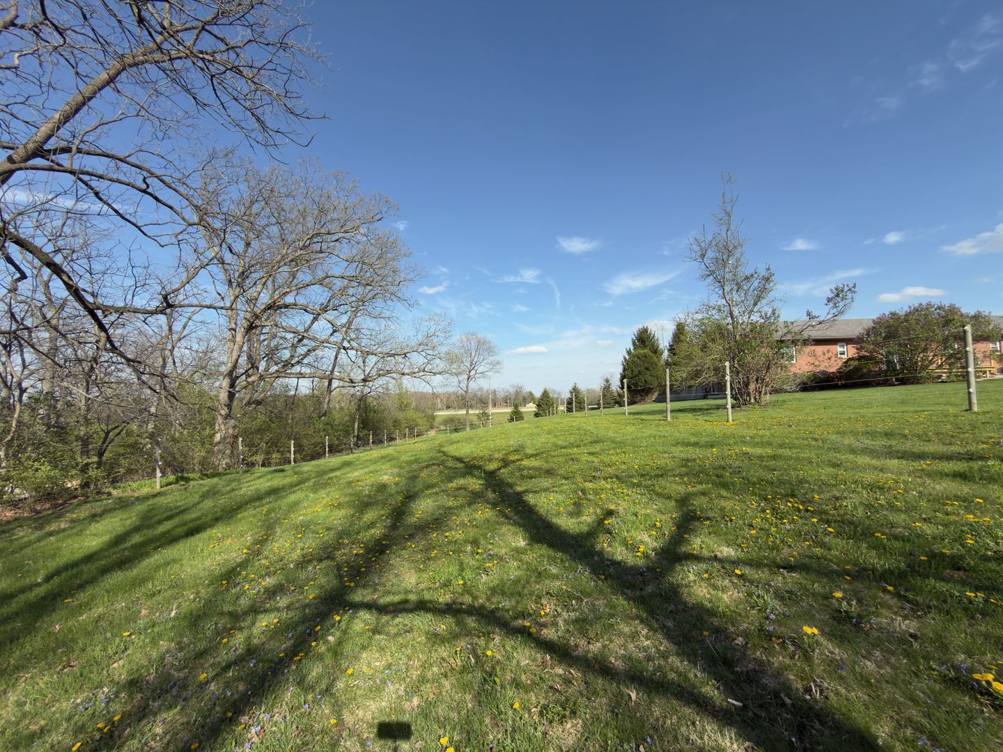 1513 Deerpass Road Marengo, IL 60152 - Photo 43 of 48 a view of a grassy field with an trees