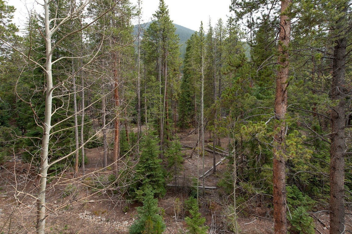 28 Trappers Crossing Trail, Unit 8760 Keystone, CO 80435 - Photo 14 of 37 a view of a bathroom