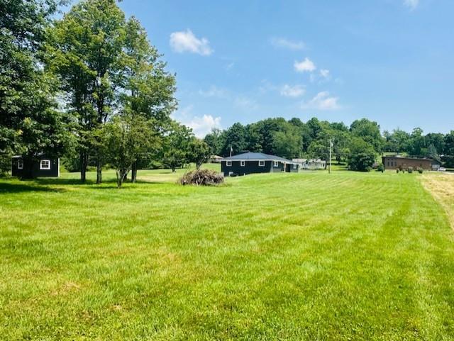 7 Indian Lane Vanderbilt, PA 15486 - Photo 5 of 38 a view of a park with large trees