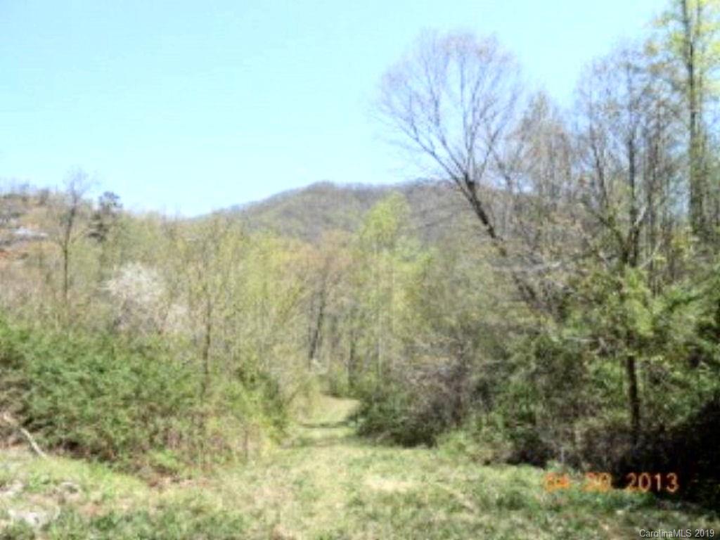 0 Claude Cook Road Sylva, NC 28779 - Photo 1 of 3 Gallery Image 1